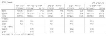 삼성전자, 수요 위축 속 내년 상반기까지 감익…목표가↓-다올