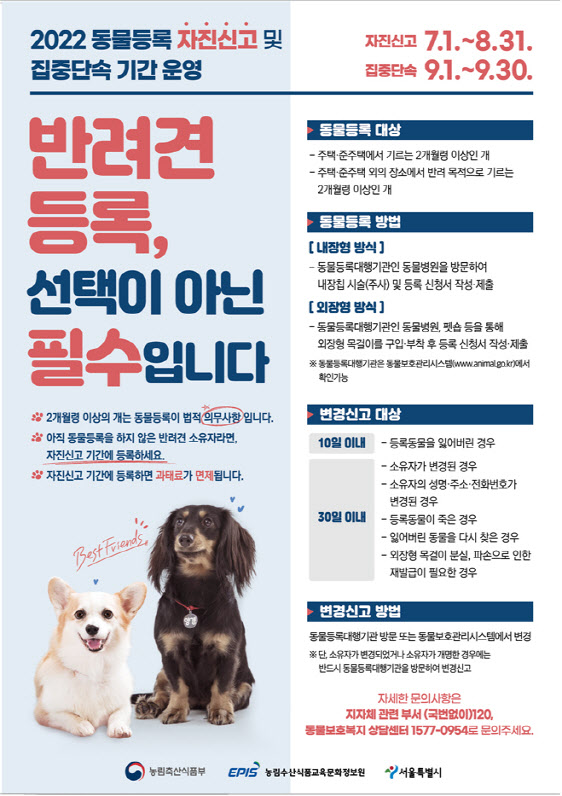 반려견 등록은 선택 아닌 필수…서울시, 동물등록 자진신고 운영