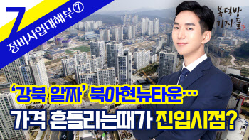 '강북 알짜’ 북아현뉴타운…가격 흔들린다는데 '진입시점'? 