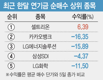 "삼전 팔고 카뱅샀냐" 개미 분노에…불똥 튄 연기금