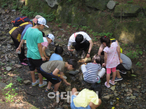 대전시, 만인산자연휴양림서 ‘숲속애(愛) 가족캠프’