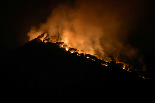 폭염에 산불까지…스페인·포루투갈 등 유럽 5개국 피해 속출