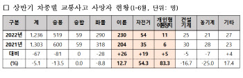 상반기 교통사고 사망자 역대 최저…'음주·보행자' 줄고 '두 바퀴' 늘어