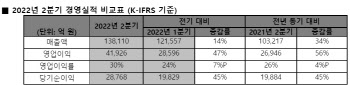 SK하이닉스, IT수요 둔화에도 역대급 실적…하반기 전망은 '글쎄'(종합)