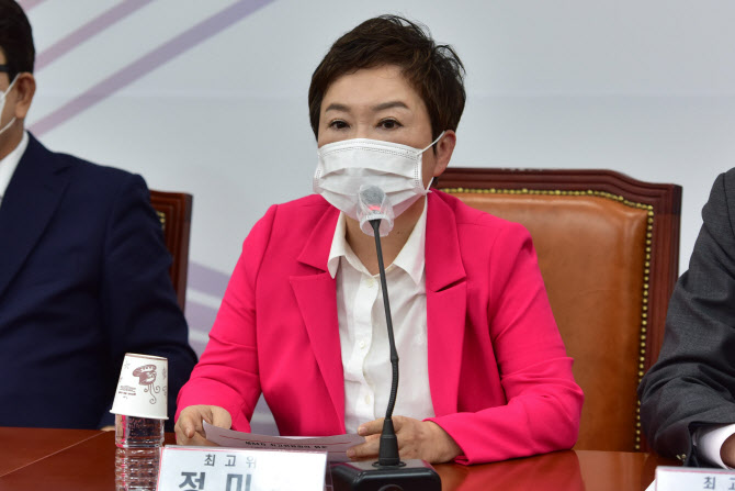 정미경 "비대위 '윤핵관'이 밀어붙인 것"…비대위 전환에 반대