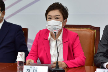 정미경 "비대위 '윤핵관'이 밀어붙인 것"…비대위 전환에 반대