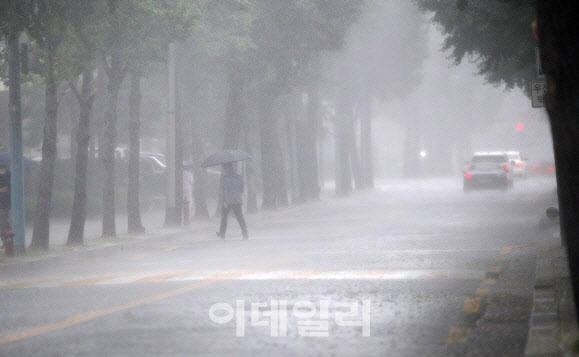 `송다` 이어 `트라세`로 많은 비…기후 변화, 태풍 부른다