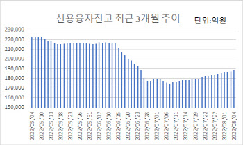 투심 살아나나…14거래일 연속 오른 신용융자