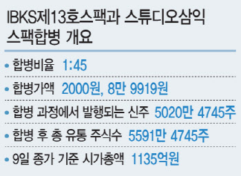 "기업가치 뻥튀기"…스팩 투자 개미들 "합병반대"