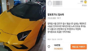 “람보르기니 100만원에 가져가실 분”… 황당한 실제 차주는