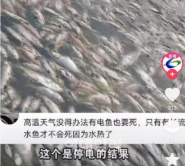 중국 기록적 폭염에…멈춰선 공장, 물고기 10톤 떼죽음