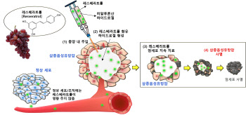 아주대, 유방암 치료 효율 높이는 신기술 개발