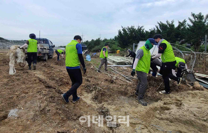 [포토] 농협경제지주 임직원, 경기도 수해복구 참여