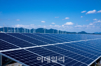 정책으로 더 뜨거워진 중국 태양광株…"선별 투자법은"