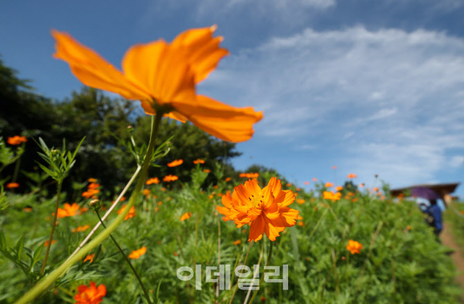 [포토]'가을이 오는 풍경'