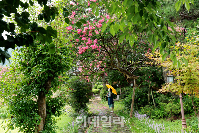 [여행] 가을 분위기 감도는 옛골목에서 정취를 느끼다