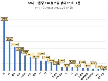 최태원의 SK, 30대 그룹 ESG 경영 관심도 '1위'…LG·롯데 순