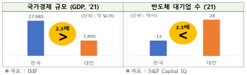 韓반도체, 10년來 최대 위기라는데…대만은 왜 잘 나가나