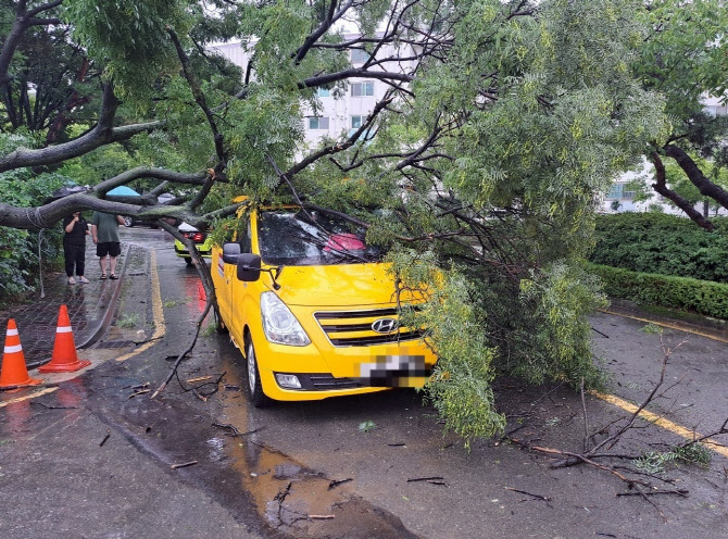 태풍 힌남노 여파, 인천 피해신고 67건 접수