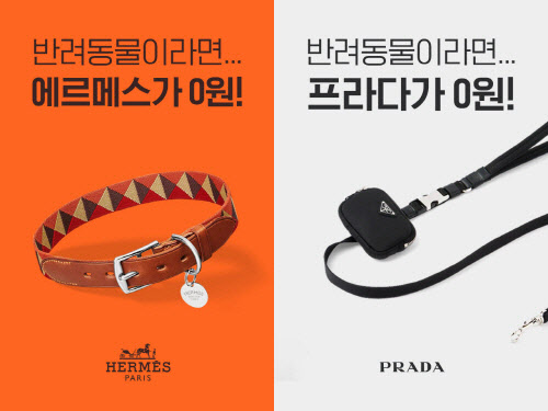 아임펫뿜뿜, 2022 서울펫쇼 첫 참가 기념 '펫 명품 0원 이벤트' 진행
