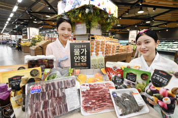 추석 겨냥 대형마트 막판 할인전…"이 상품 우리가 제일 싸요"