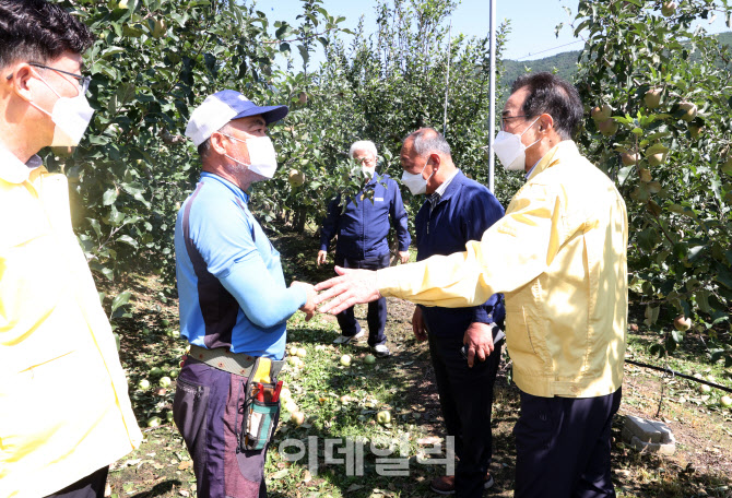 [포토] 태풍 피해 농업인 위로하는 이성희 농협회장