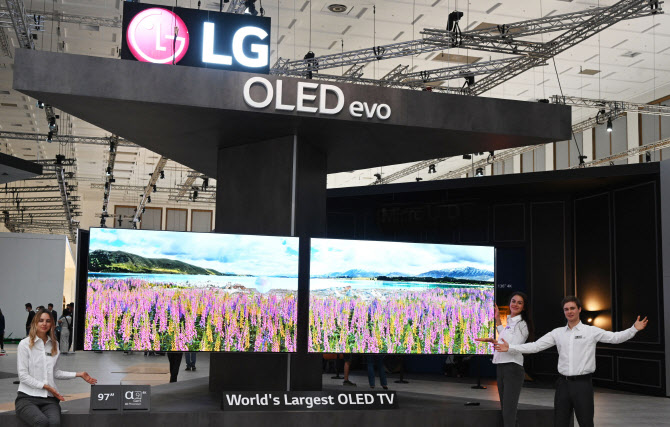 "OLED, 경제안보 자산 아냐" vs "차세대 디스플레이 초격차 지켜야"