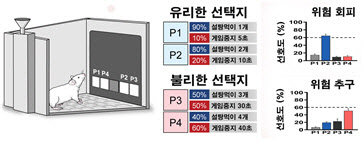 위험 선호도 기질에 따른 유전자 발현 차이 최초 규명