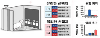 위험 선호도 기질에 따른 유전자 발현 차이 최초 규명