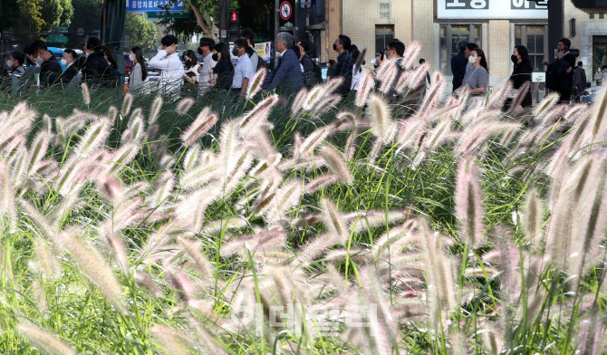 [포토]태풍 지나자 기온 뚝…올해 첫 단풍, 28일 설악산서 시작