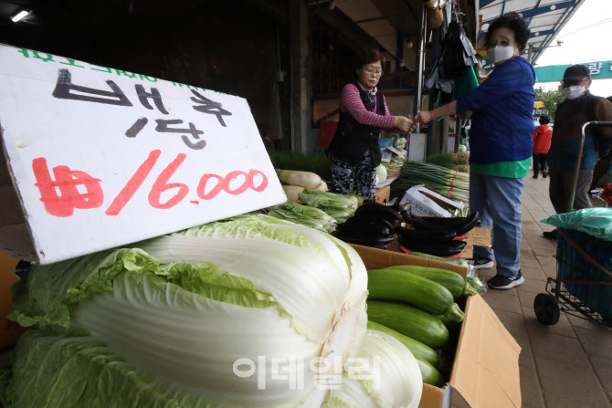 [포토]1만원에 육박하는 배추