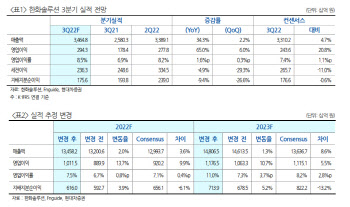 한화솔루션, 3분기 실적 컨센 크게 상회할 것…목표가↑-현대차