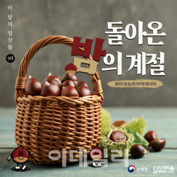 산림청, 이달의 임산물 주인공으로 '밤' 선정