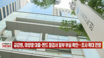 (영상)금감원, 태양광 대출·펀드 점검서 일부 부실 확인…조사 확대 전망