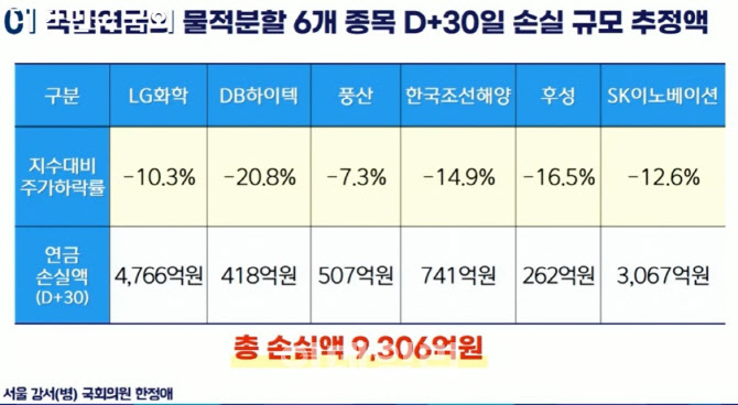 "국민연금 적극적 역할해야"…국감 뜨거운 감자 된 주주대표 소송