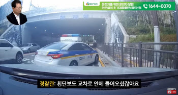(영상)"보행신호에 정차했는데 4만원..뭘 잘못했나요"