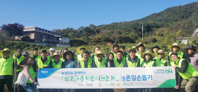 [포토] 농협 상호금융사업지원본부, 농가 일손돕기