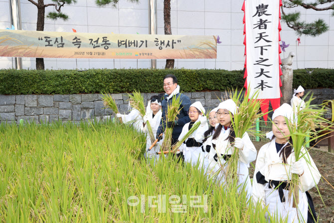 [포토] 전통 벼베기 참가한 이성희 농협회장