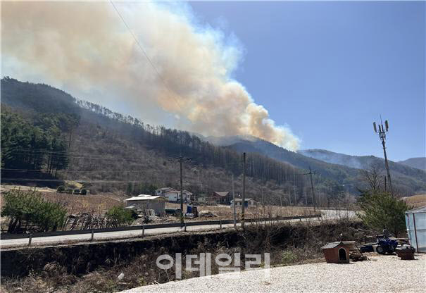 강원 정선 산불 발생, 1시간40분 만에 진화
