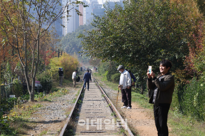 [포토]가을로 향하는 길