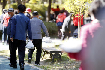 '일하는 노인' 늘어…고령층 근로소득, 5년간 84%↑