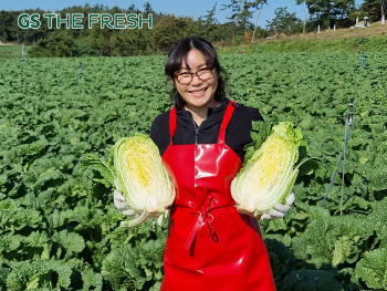 김장시즌 왔다…GS더프레시, 절임배추 매출 전년比 2.5배 증가