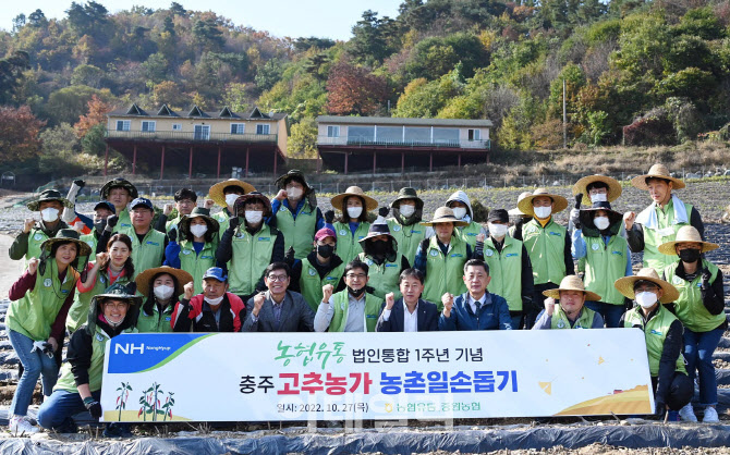 [포토] 농협유통, 고추농가 일손돕기