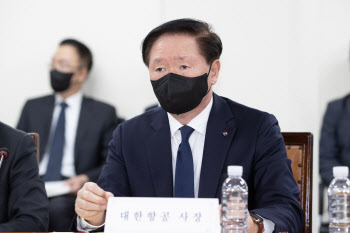 우기홍 대한항공 사장 "엔진결함 A330 항공기 6대 퇴역…24대 정밀점검"