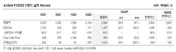 에어비엔비, 여행 수요회복 지속 확신 필요…호실적에도 ↓