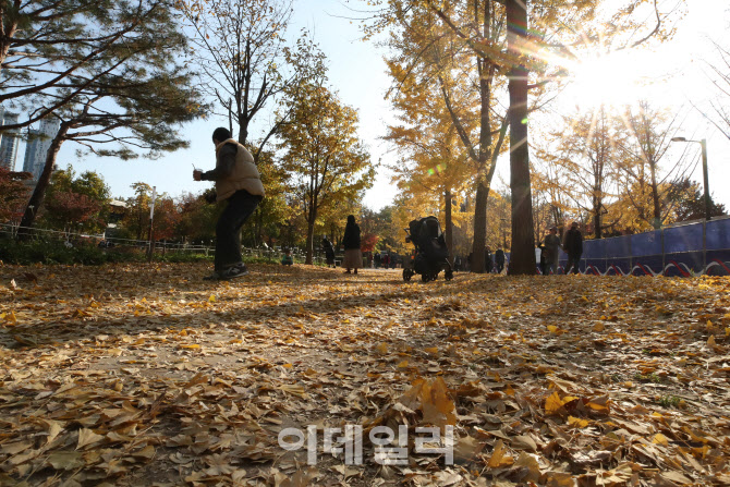 [포토]완연한 가을