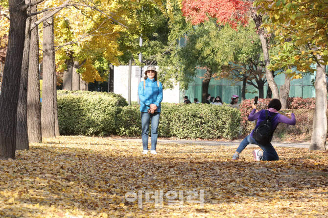 [포토]노란 길에 서서