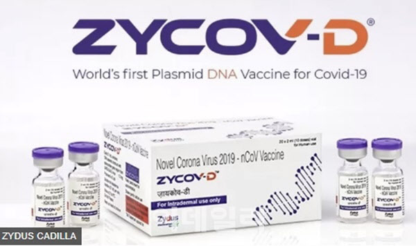 "상업화 성공해도 안 팔려"… 설자리 잃은 DNA 코로나 백신