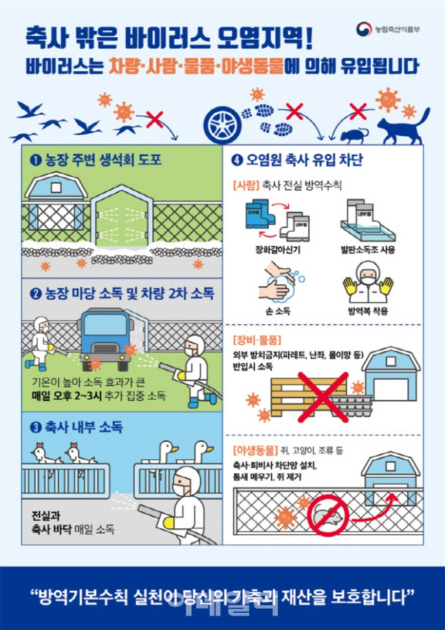 천안·청주 오리농장서 고병원성 AI 잇따라 확진