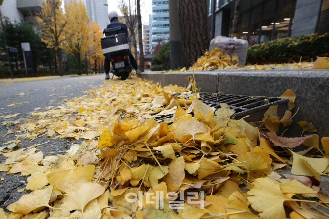 [포토]낙엽들로 배수구가 막혀